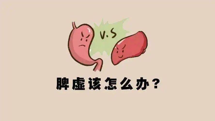 脾胃虚弱