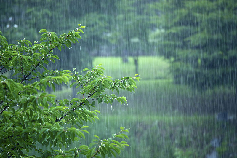 阴雨季节